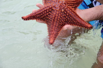island summer trip grand cayman