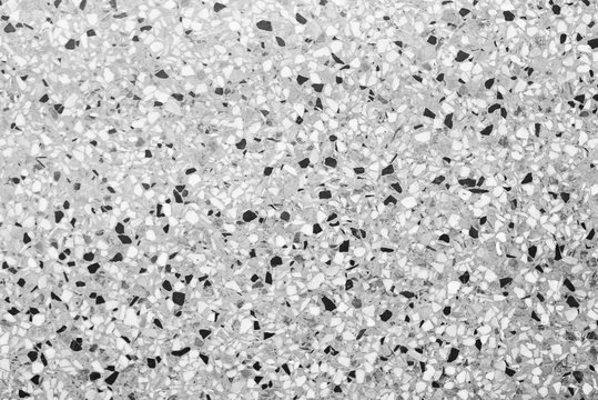 Manchas blancas y negras