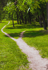 Fototapeta na wymiar The wide path in the grass splits into two narrow paths in the park. Summer landscape