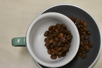 seeds