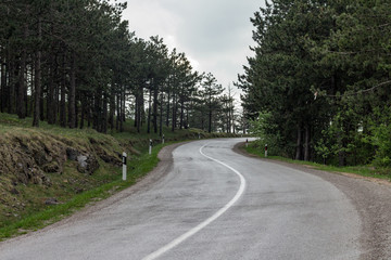 Empty, curvy road. Forest around the road. Mountain road.