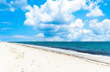 Fototapeta na wymiar landscape of empty tropical beach
