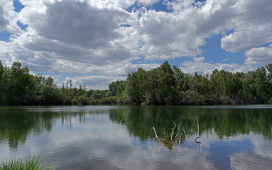 Fototapeta na wymiar Episy swamp nature reserve in the french Gâtinais regional nature park