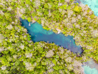 Aerial top down view tropical paradise pristine coast line rainforest blue lake at Bair Island. Indonesia Moluccas archipelago, Kei Islands, Banda Sea. Top travel destination, best diving snorkeling.