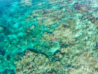 Fototapeta premium Aerial top down people snorkeling on coral reef tropical caribbean sea, turquoise blue water. Indonesia Wakatobi archipelago, marine national park, tourist diving travel destination