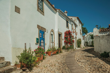 Old whitewashed houses and flowered shrubs in cobblestone alley