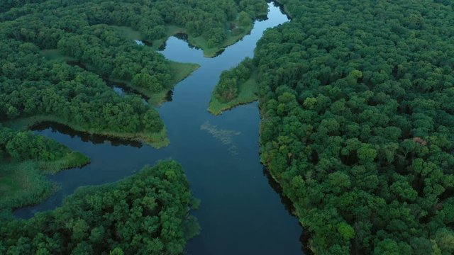aerial view of beautiful forest with the river and lakes