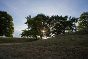 blue sky and a meadow at sunset, sunrise
