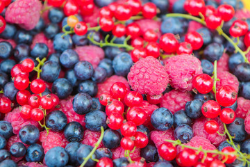 black berry red currant and raspberry berries from the forest