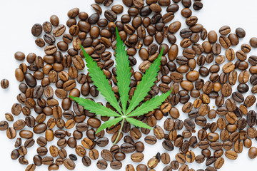 Coffee beans with marijuana leaves background top view.  Green cannabis leaf on coffee beans background with place for copy space