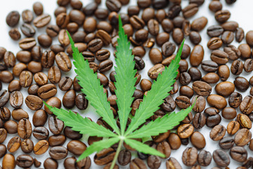 Coffee beans with marijuana leaves background top view.  Green cannabis leaf on coffee beans...