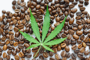 Obraz premium Coffee beans with marijuana leaves background top view. Green cannabis leaf on coffee beans background with place for copy space