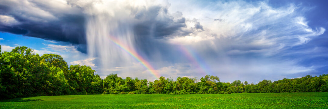 Rain And Rainbow Over Rural Landscape With Trees And Plant Crop