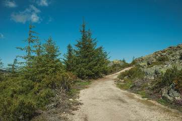 Fototapeta premium Trail passing through rocky terrain on highlands