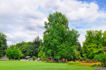 Summer park with beautiful flower beds and lawn.