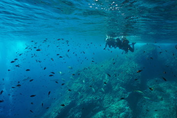 Couple of scuba divers on water surface look at a shoal of fish underwater, Mediterranean sea, Costa Brava, Spain