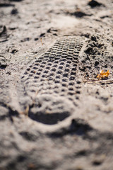 wanderlust footprint