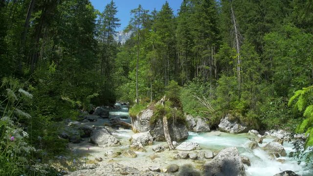 Creek with rocks in the forest in Bavaria, magic forest Ramsau, Germany