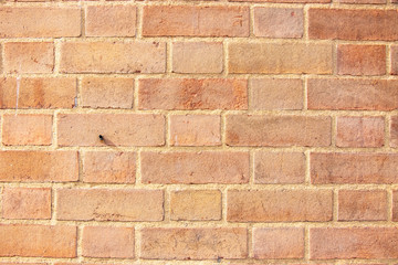 Obraz premium Brick wall surface background texture
