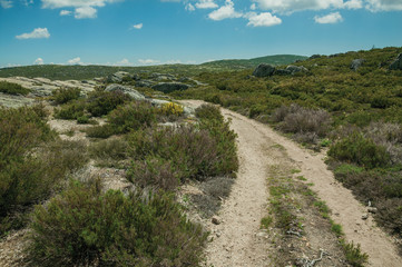 Trail going through rocky terrain on highlands