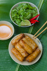 Vietnamese fried spring rolls with fresh vegetable and peanut sauce