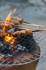 Grilled pork on fire. Asian food photo