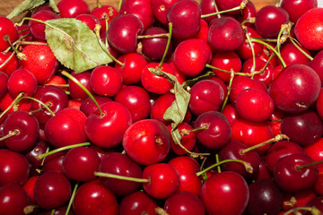 Obraz na płótnie Canvas Freshly harvested fresh cherries closeup