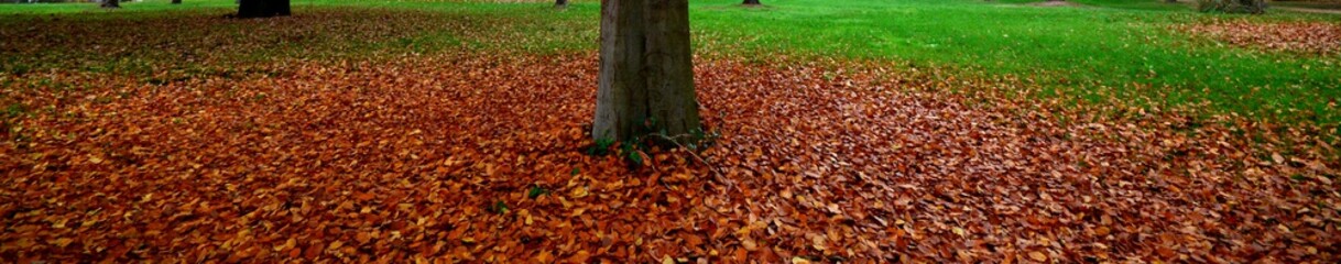 Autumnal Impressions from Berlin Spandau on November 5, 2015, Germany