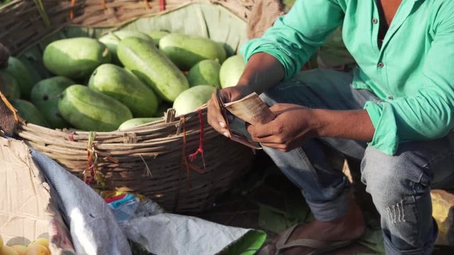 Profits of indian vegetable seller counting currency at the market, close up shot