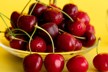 Freshly picked cherries in a glass bowl. Bright yellow background, water drops, high resolution