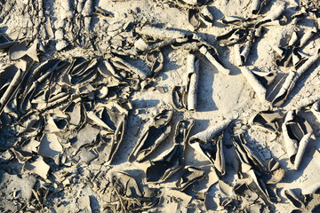 Dry cracked earth