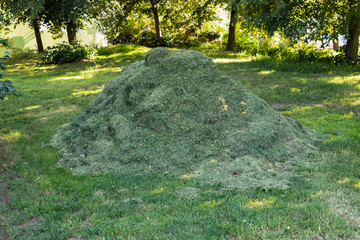 Heap pile of freshly cut grass lawn in park with trees