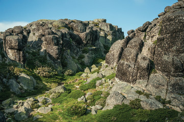 Fototapeta na wymiar Hilly landscape of green ravine with rocks