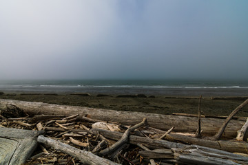 Fototapeta na wymiar Whidbey Island beach in fog