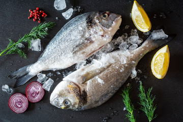Fresh uncooked dorado fish with ice and vegatables served on black plate.