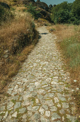 Fototapeta na wymiar Pathway covered by bushes and rocks near Monsanto