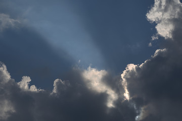 Fiori a casa e San Donato