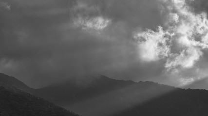 Fiori a casa e San Donato