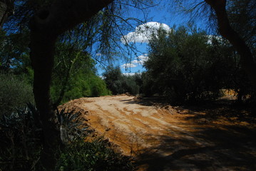 What Lies Ahead Down the Road