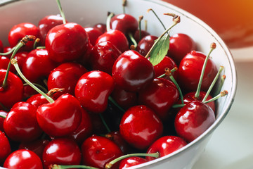 Fresh and beautiful red cherries in white dishes. Seasonal berries and healthy eating