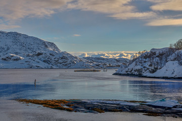 Norway, Fjord on the Lofoten islands and the salmon farm