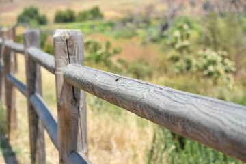 Wooden fence