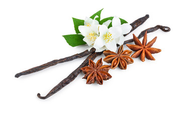 Vanilla sticks with star anise isolated on white background