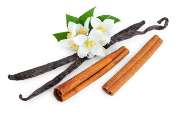 Vanilla and cinnamon sticks with flower and leaf isolated on white background