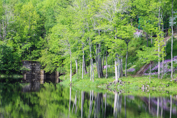 Waterfront in Spring