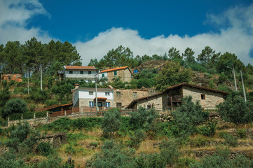 Fototapeta na wymiar Rustic houses on hill with terraced olive trees