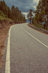 Road passing through hilly landscape covered by forest