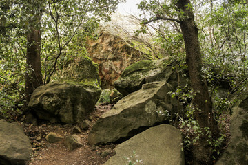 Fototapeta na wymiar Huge stones in the park.