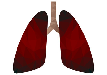 Pulmones enegrecidos y enfermos por el tabaco. 