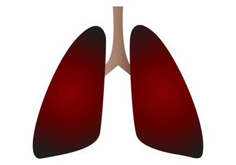 Pulmones enegrecidos y enfermos por el tabaco. 